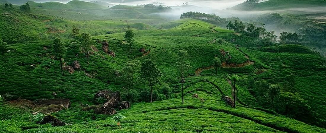 Kerala Tourism invites Cristiano Ronaldo and Georgina Rodríguez for dream honeymoon in God’s Own Country