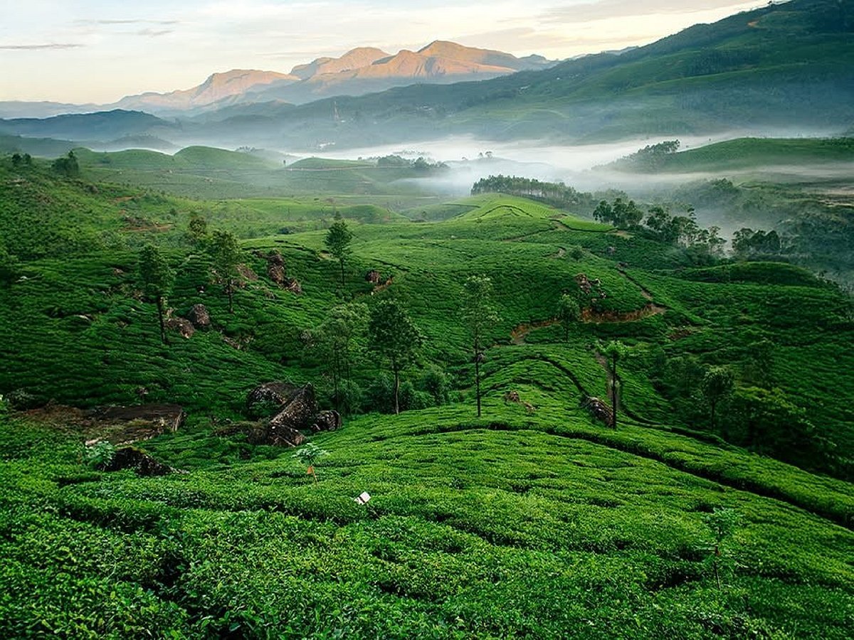 Kerala Tourism invites Cristiano Ronaldo and Georgina Rodríguez for dream honeymoon in God’s Own Country